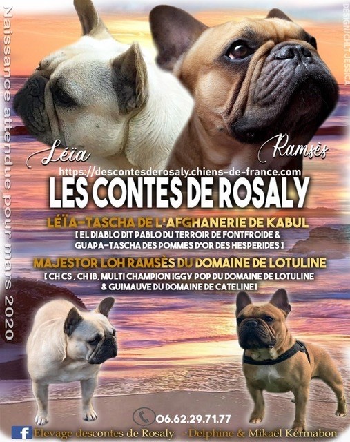 Des Contes De Rosaly - Naissances prévues pour mars 2020 (2)