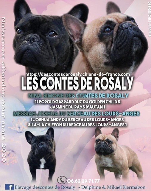 Des Contes De Rosaly - Naissances prévues pour mars 2020